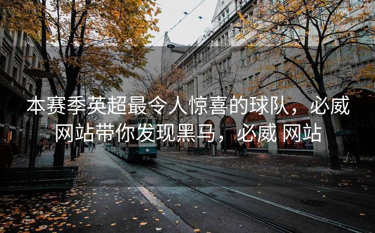 本赛季英超最令人惊喜的球队，必威网站带你发现黑马，必威 网站