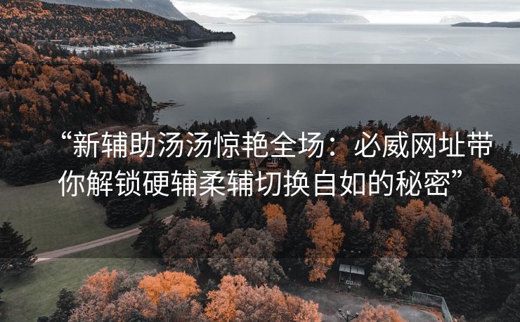 “新辅助汤汤惊艳全场：必威网址带你解锁硬辅柔辅切换自如的秘密”