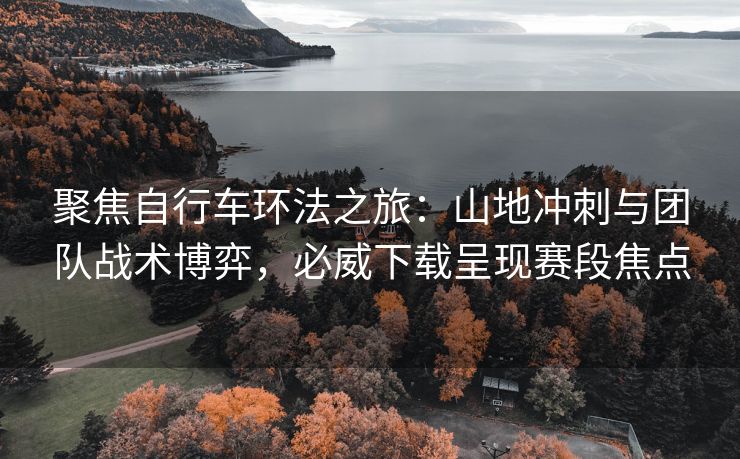 聚焦自行车环法之旅：山地冲刺与团队战术博弈，必威下载呈现赛段焦点  第2张